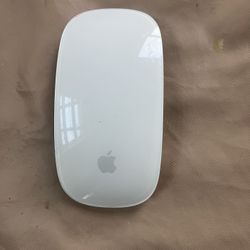 Apple Mouse 
