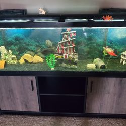 125 Gallon Aquarium