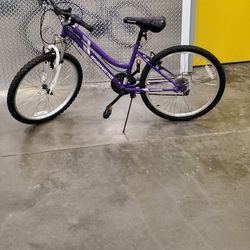  ROADMASTER  24 INCH FRAME BIKE