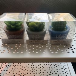 Succulent Planter Candles-3 Total