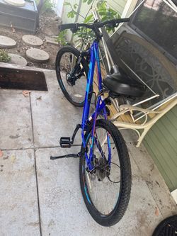 Blue Mountain Bike