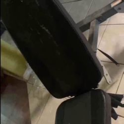 Gold’s Gym Adjustable Weight Bench