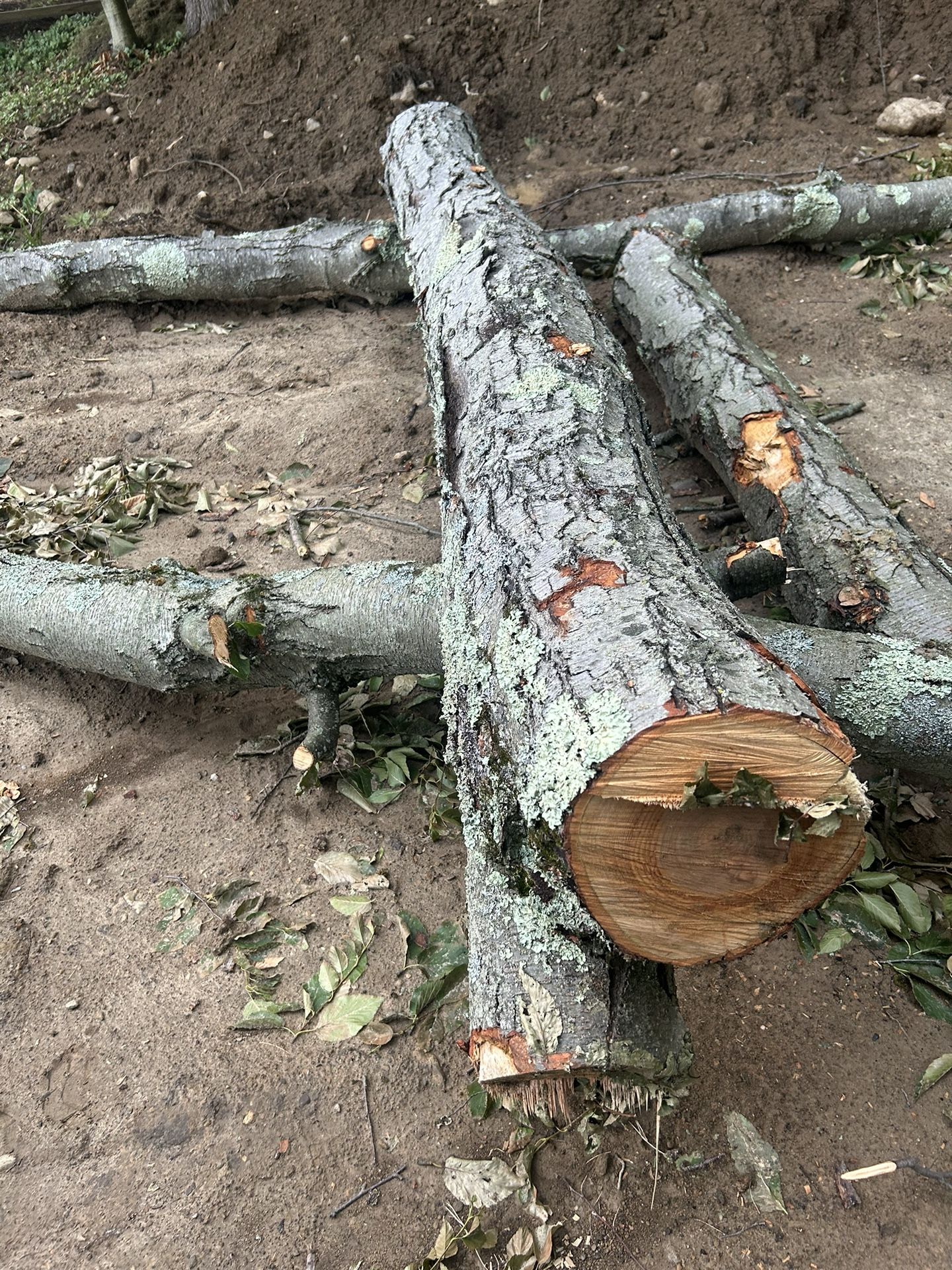 Free Hardwood