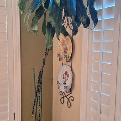 Tall Live Plant