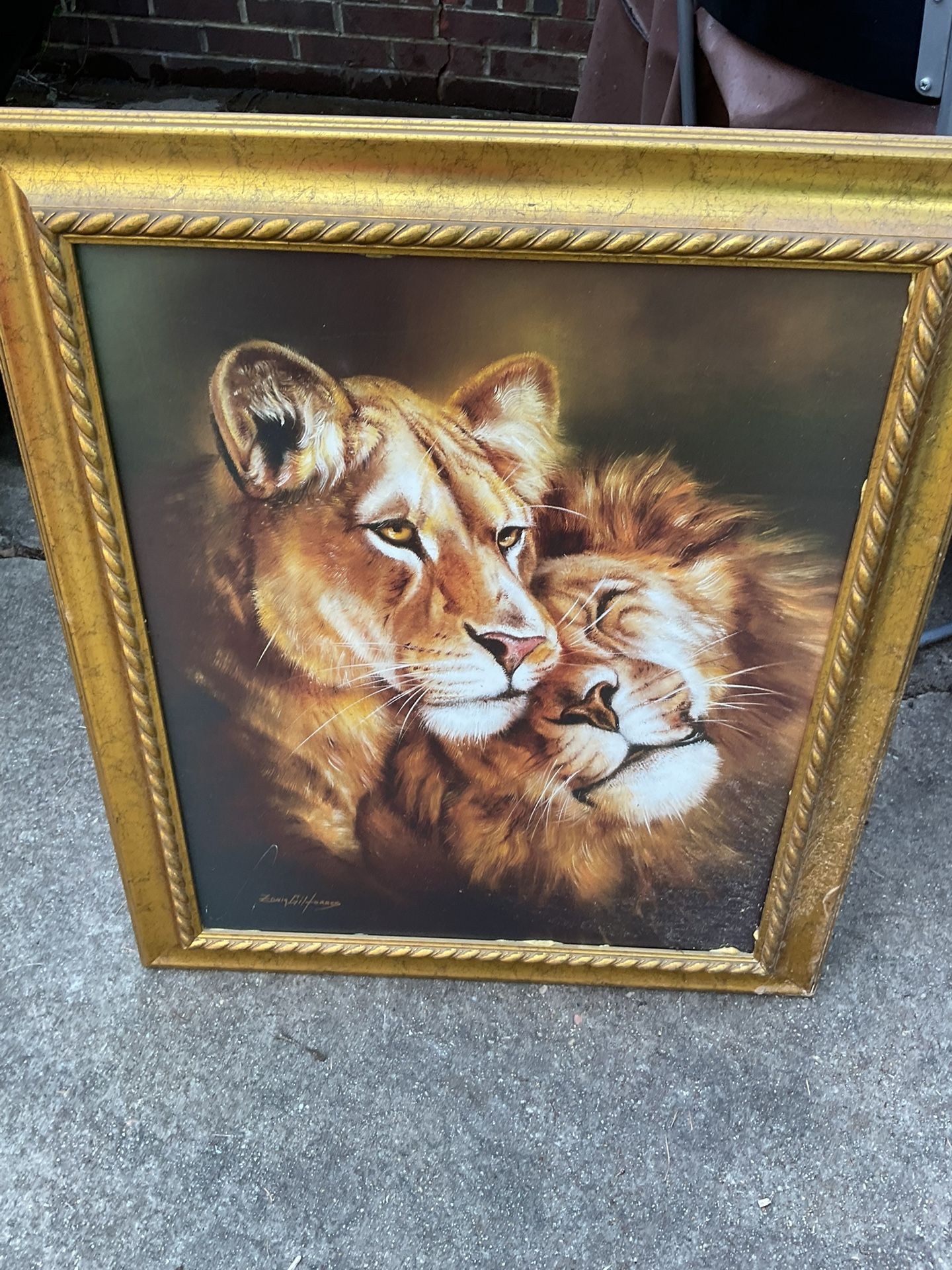 A Beautiful Picture Of Two Lions, Work Of Nature, Very Nice ( NO SHIPPING) 28” X 25”