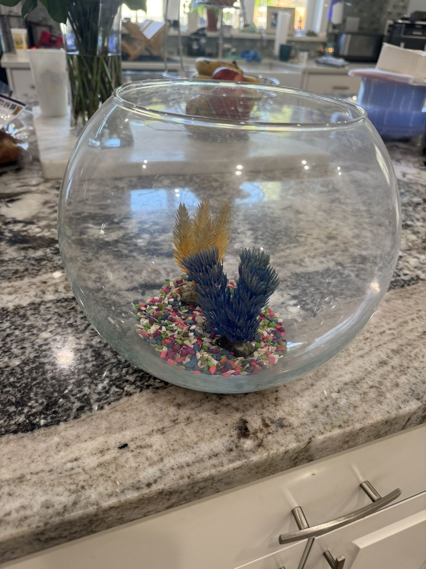 Beta Bubble Fish Bowl