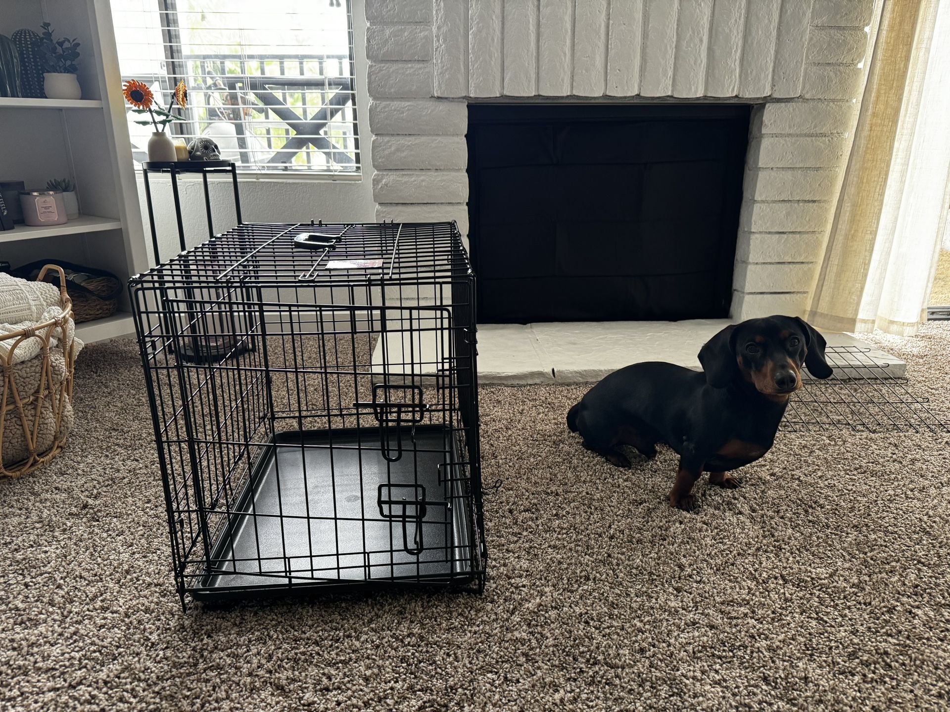 Doggy Crate.