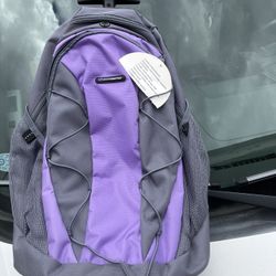 Intrepid Rolling Backpack
