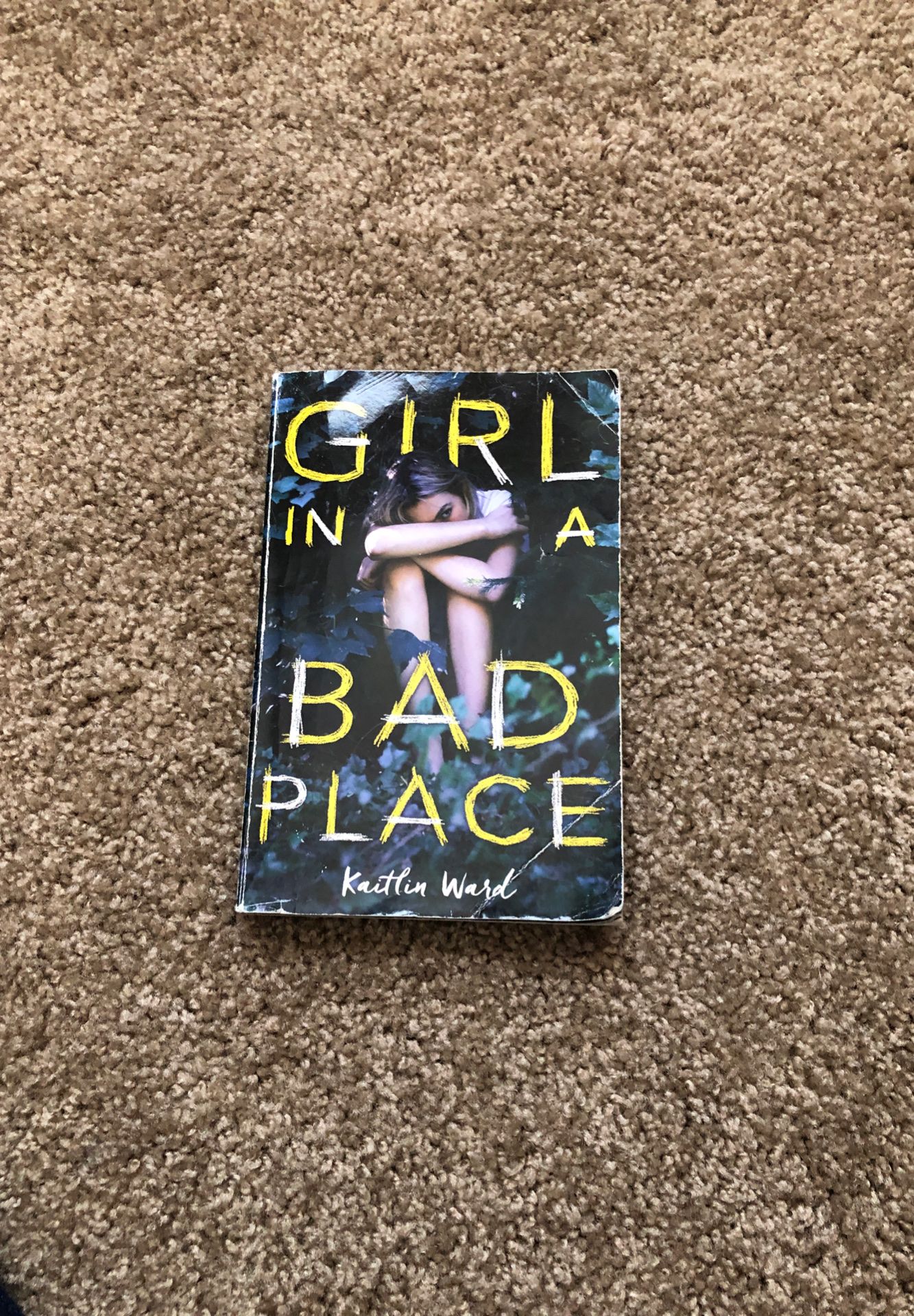 Book: Girl in a bad place, Author: Kaitlin Ward