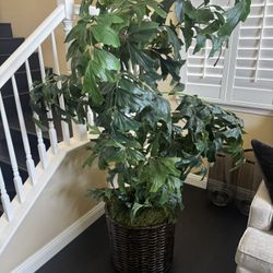 Fake Decoration Tree