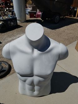 Men's torso mannequins