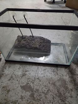 Turtle Aquarium Tank with Rock Decor