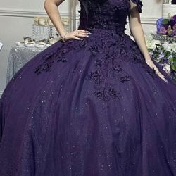 Plum Quinceañera Dress $150