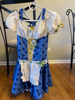 Dorothy from Wizard of oz costume