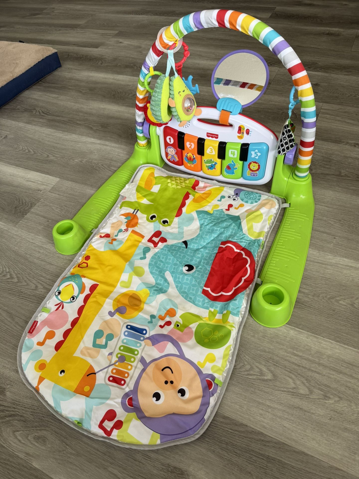 Baby Play Mat