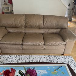 Leather Couches 