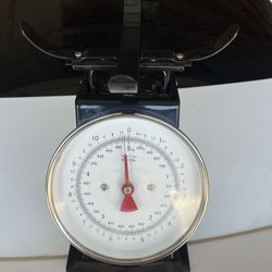 Food Scale