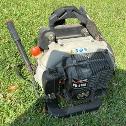 Echo Blower/sopladora Echo