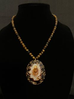 Oval Limpet Shell Necklace with Tigers Eye