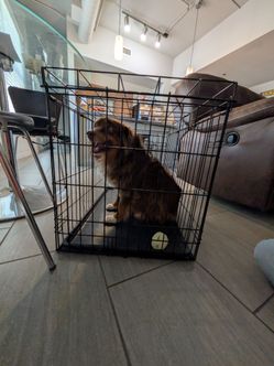 Medium Size Dog Cage