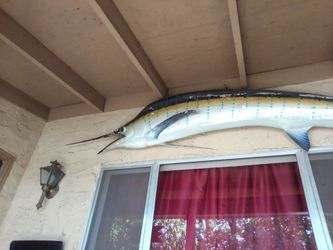 9FT Taxidermy Sword Fish (Fin is Detachable)