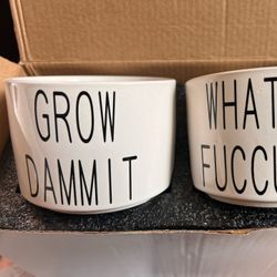 Succulent Pots