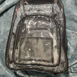 Transparent Backpack 