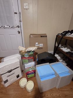 Bunny Rabbit Supplies