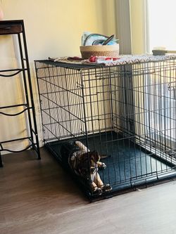 Free Cage