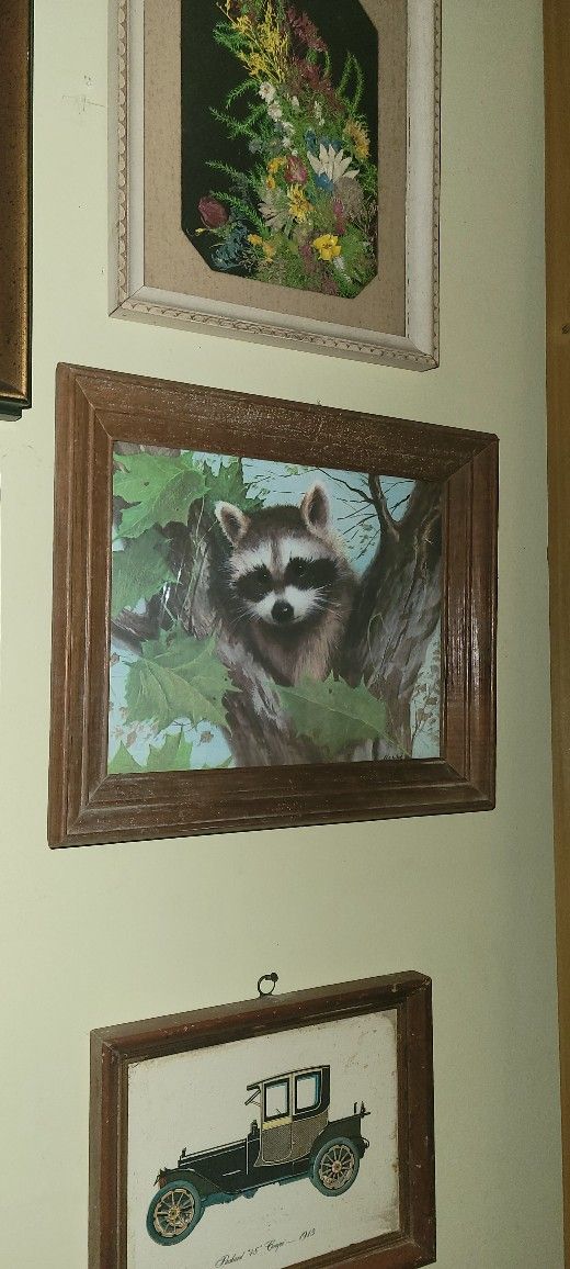 Framed Pictures