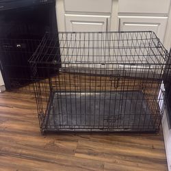 Large kennel