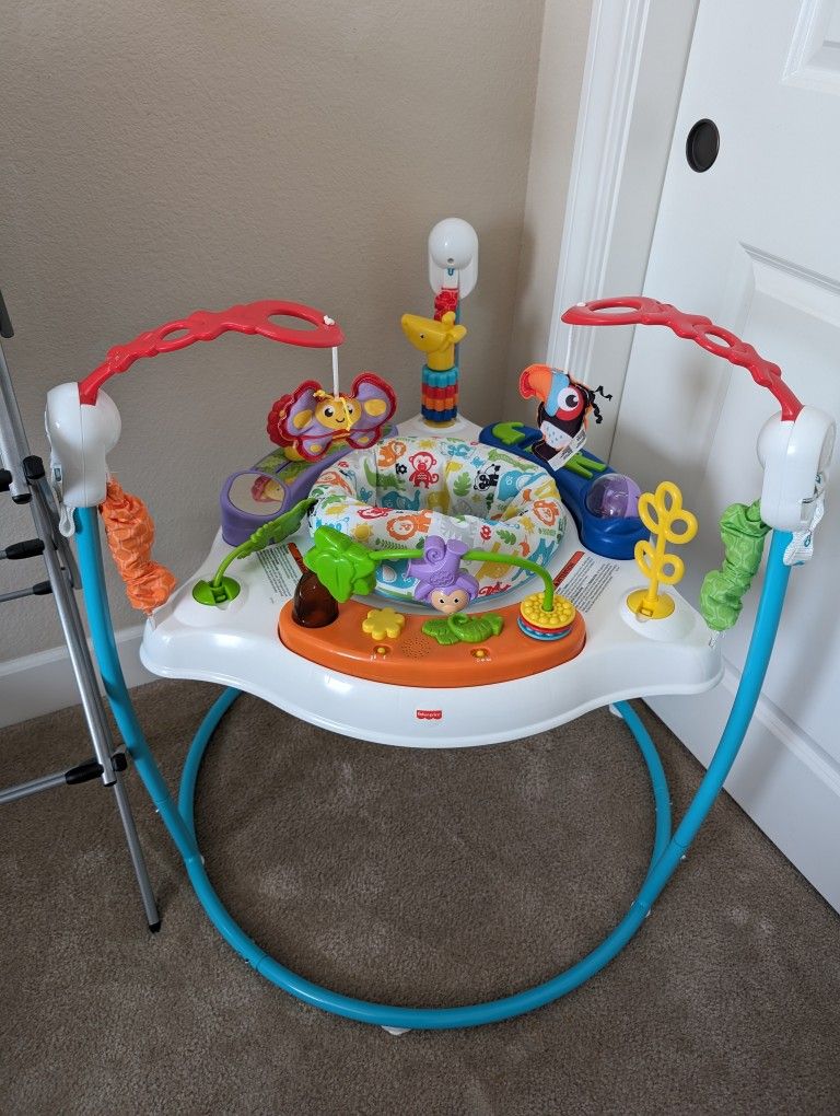 Fisher-Price Baby Bouncer Animal Activity Jumperoo