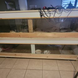 Reptile Tanks 