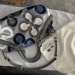Coach Bag With Dust Bag