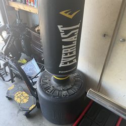 Everlast punching bag