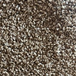 Brown Twist Carpet 