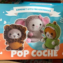 Crochet kit