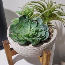 Desktop Succulent Decor