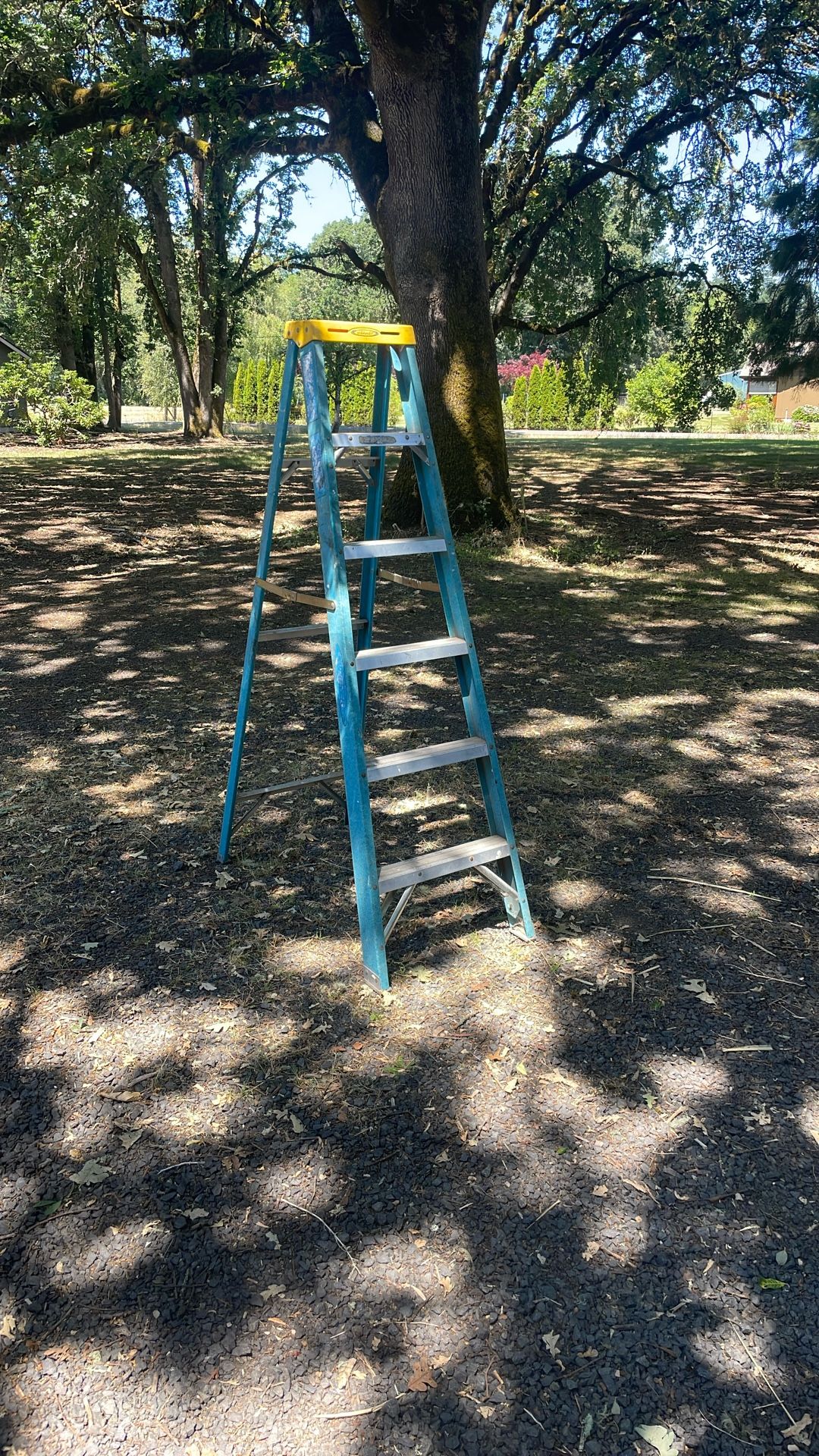 Werner 6 Foot Fiberglass Ladder