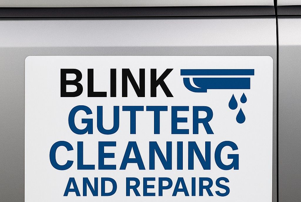 Gutter Cleaning