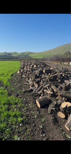 Olive Firewood