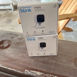 New Blink Mini White 