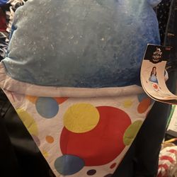 snow cone costume 
