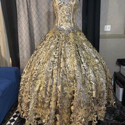 Quinceañera Collection Dress
