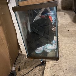 Fish Tank