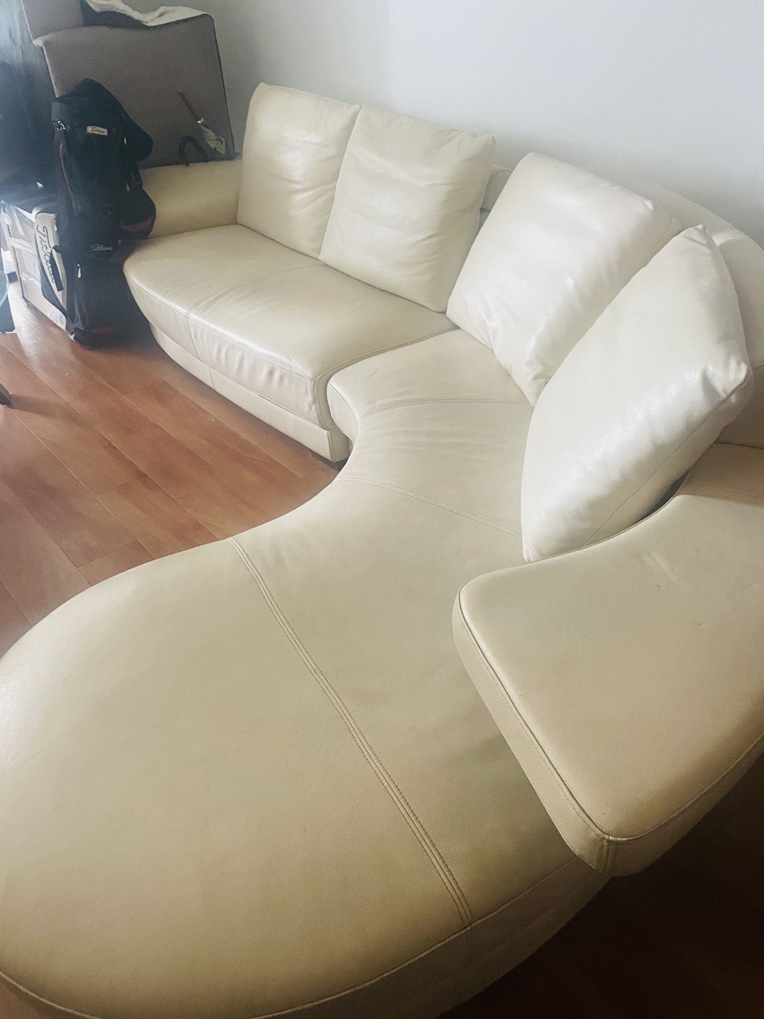 Beautiful Leather Couches