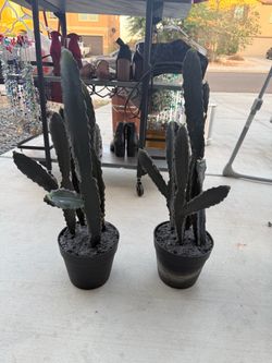 Faux Cactus Plants in Black Pots – Set of 2