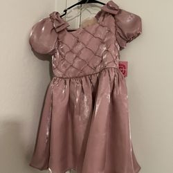 Rose Pink Dress 6x