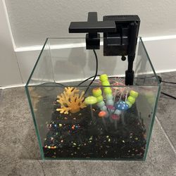 5 gallon glass fish tank