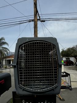 Dog Kennel